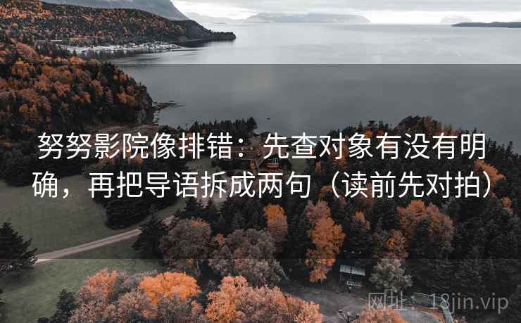 努努影院像排错：先查对象有没有明确，再把导语拆成两句（读前先对拍）