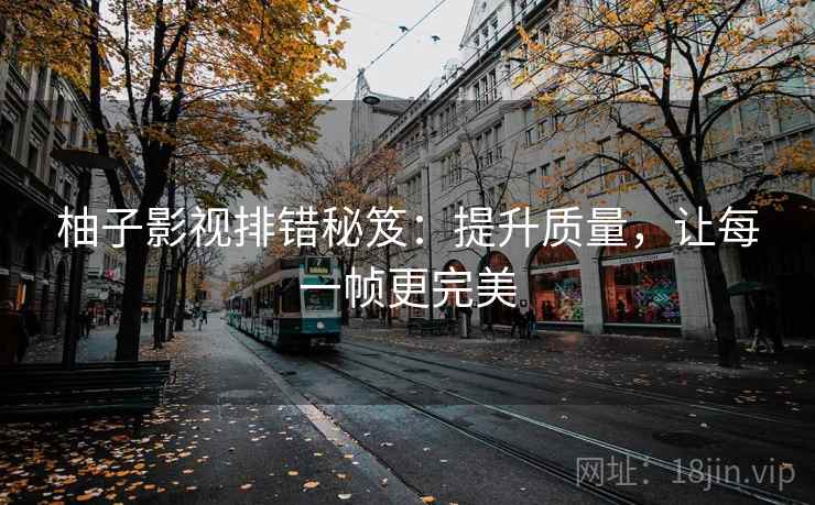 柚子影视排错秘笈：提升质量，让每一帧更完美